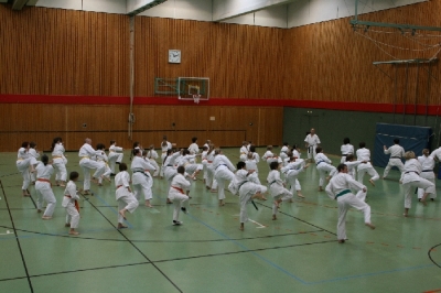 heian nidan karate kirchheim